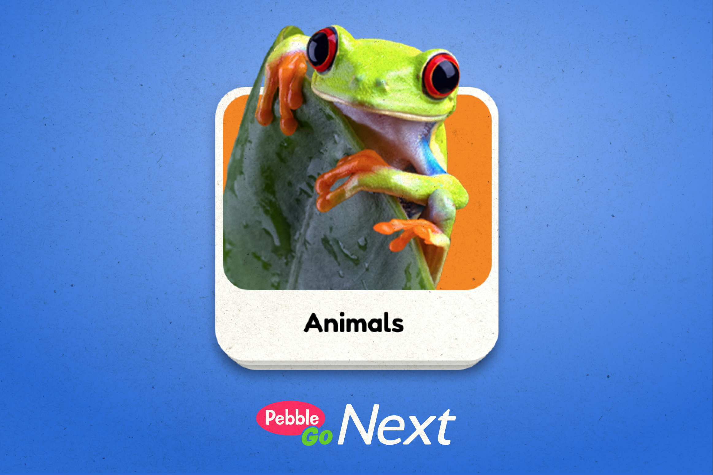 Picture of PebbleGo website