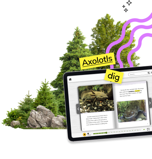 Graphic of trees and ebooks