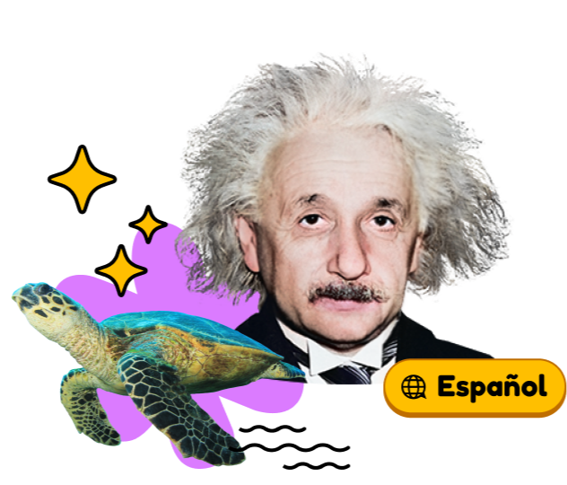 Graphic with Albert Einstein and turtle